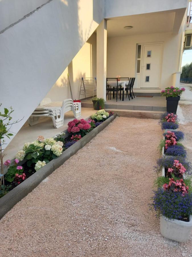 Apartmani Sara Bibinje Ngoại thất bức ảnh