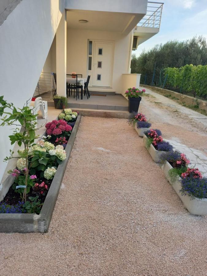 Apartmani Sara Bibinje Ngoại thất bức ảnh